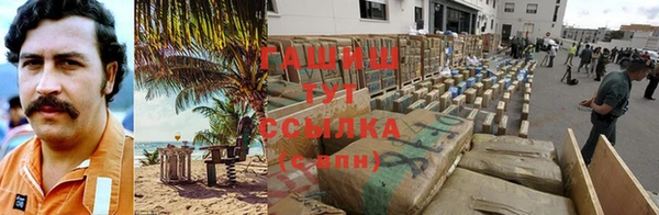 дмт Алзамай