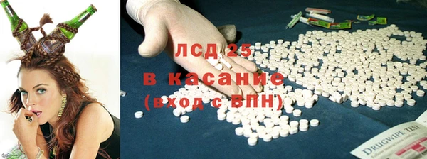 дмт Алзамай