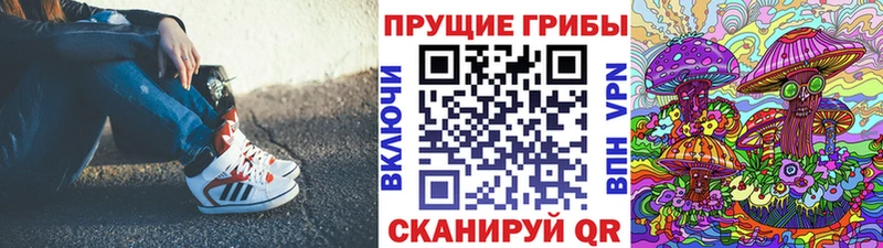 Псилоцибиновые грибы Psilocybine cubensis Кашин